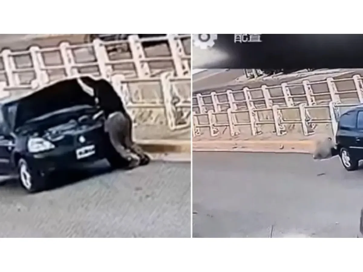 Mujer sufrió accidente al ser atropellada por su propio vehículo tras olvidar freno de mano en Argentina Mujer sufrió accidente al ser atropellada por su propio vehículo tras olvidar freno de mano en Argentina