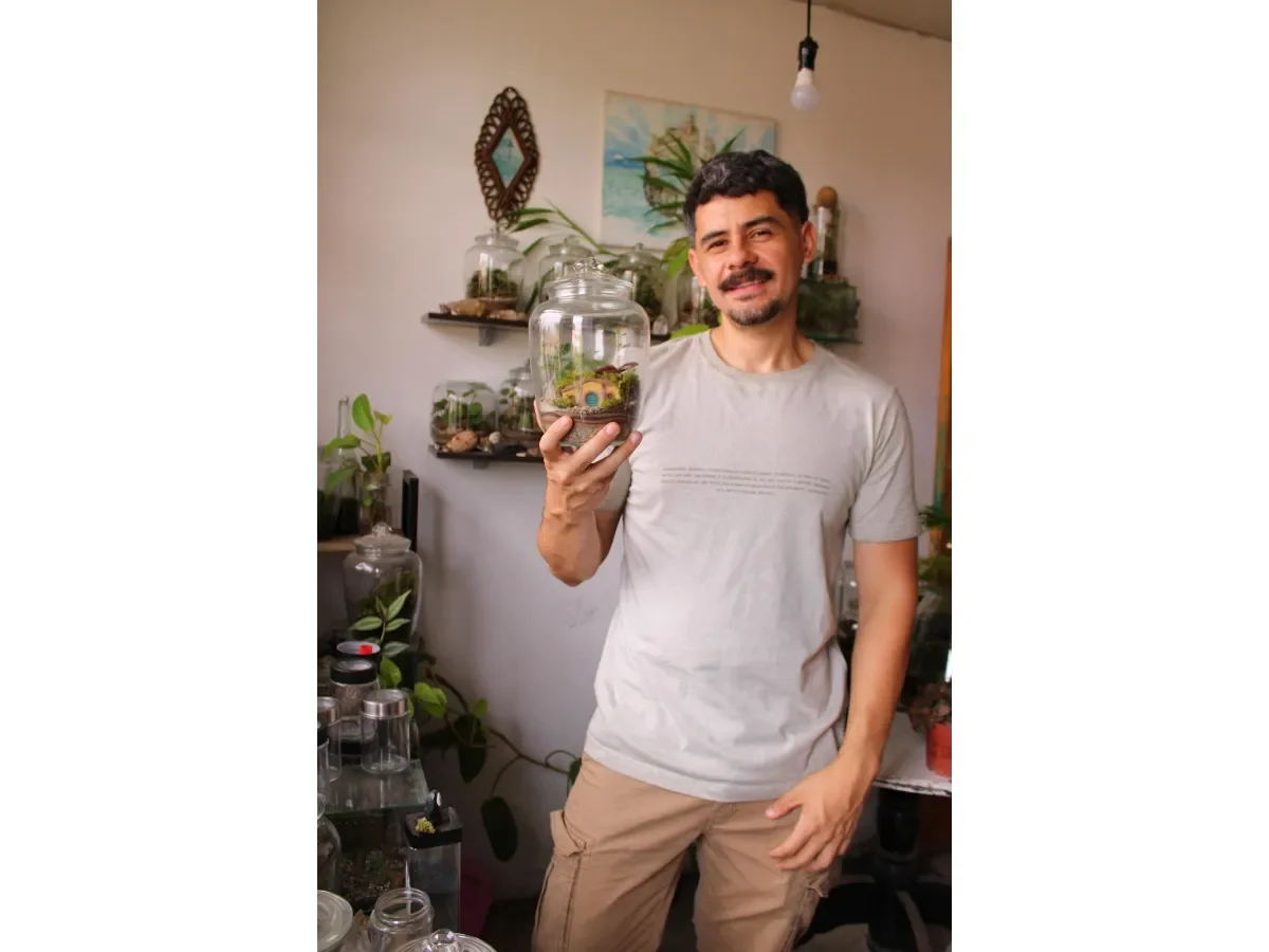Explorando el concepto de \'En casa de Luis\': un análisis de Onlyplants503 y LPG Home Explorando el concepto de \'En casa de Luis\': un análisis de Onlyplants503 y LPG Home