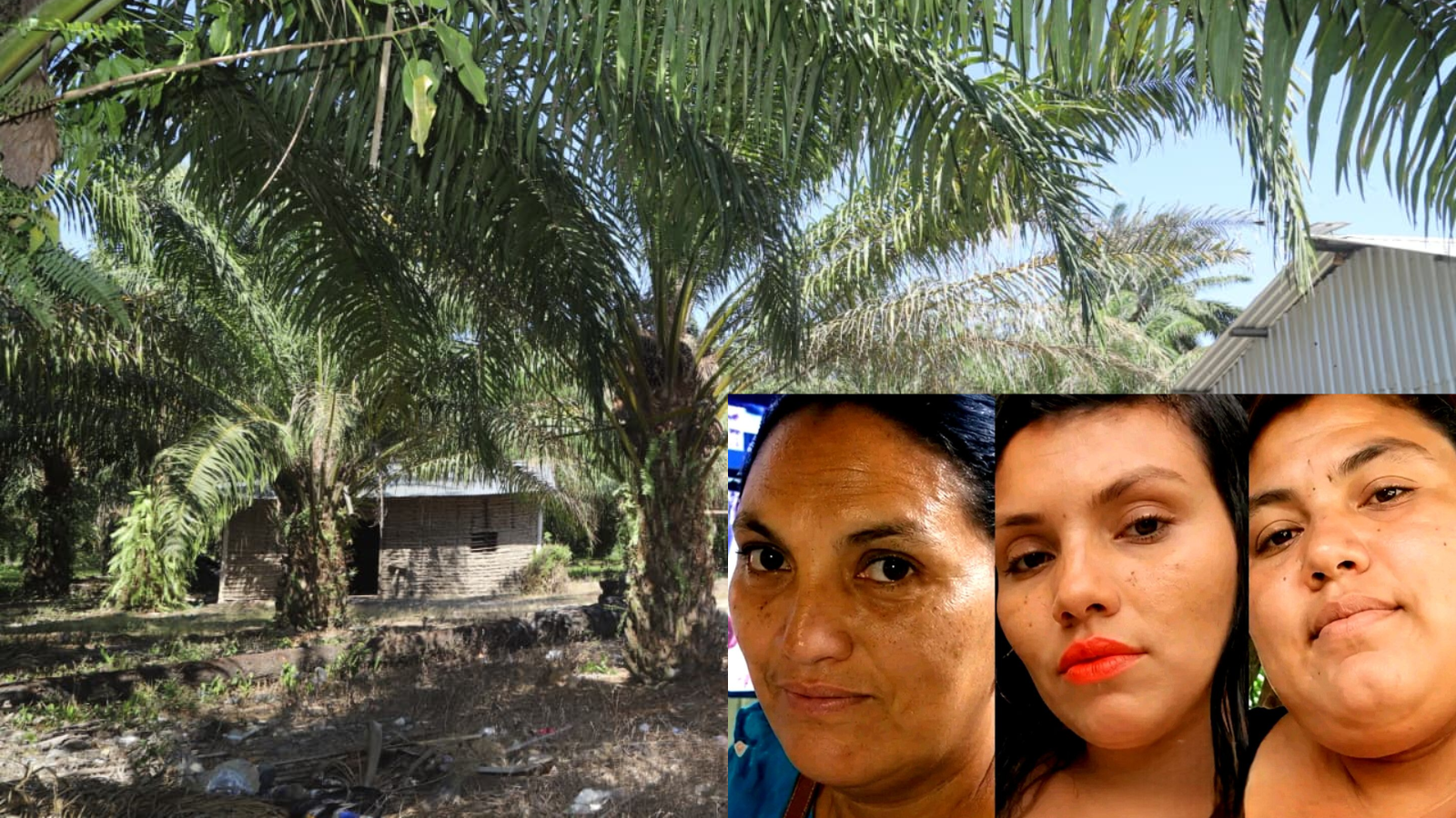 Masacre en finca de palma africana en Honduras deja tres hermanas guatemaltecas entre las víctimas Masacre en finca de palma africana en Honduras deja tres hermanas guatemaltecas entre las víctimas