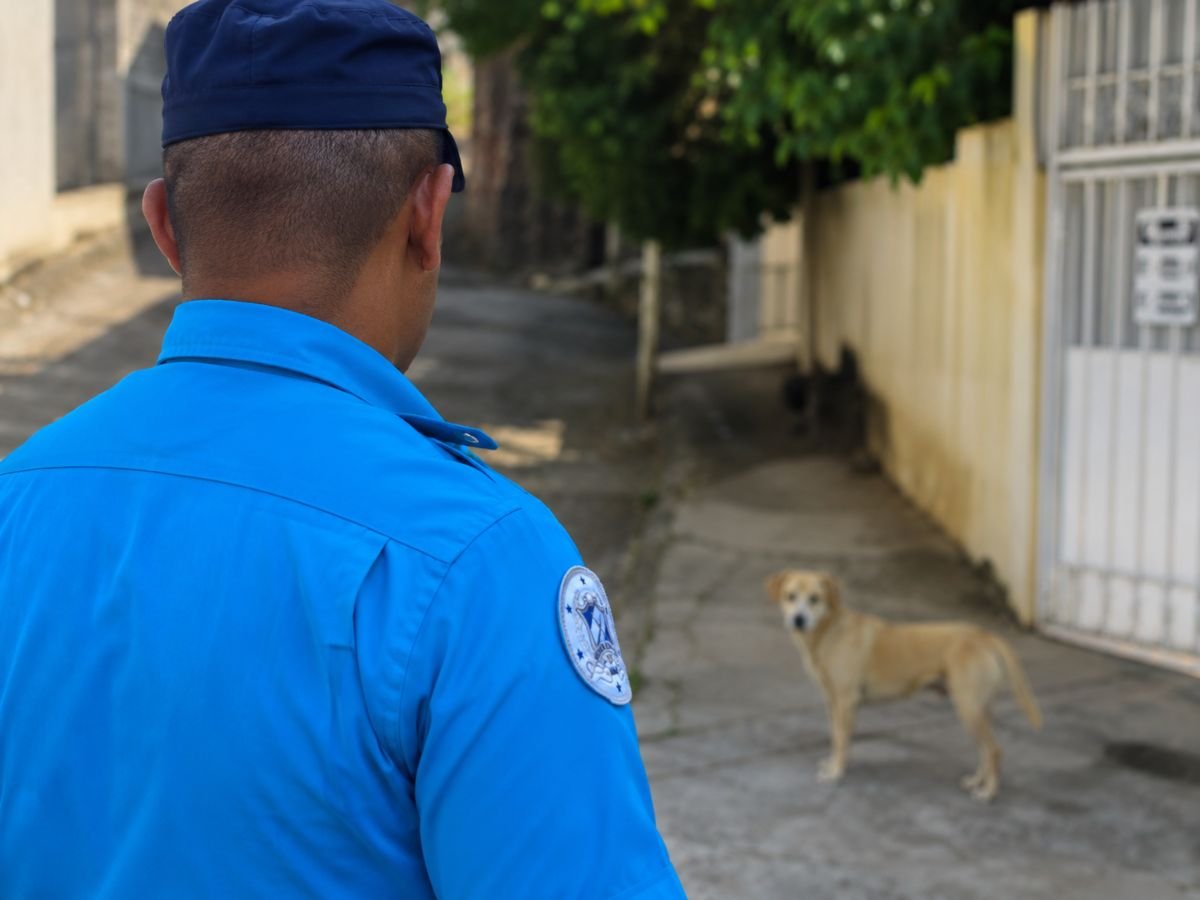 Autoridades Municipales Inspeccionan Condiciones de Mascotas en Ciudad Delgado Tras Denuncia Autoridades Municipales Inspeccionan Condiciones de Mascotas en Ciudad Delgado Tras Denuncia
