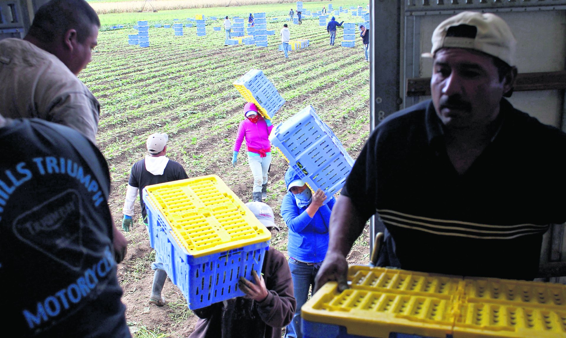 Migrantes guatemaltecos enfrentan desafíos y adaptan sus estrategias ante nuevas regulaciones financieras en EE. UU. Migrantes guatemaltecos enfrentan desafíos y adaptan sus estrategias ante nuevas regulaciones financieras en EE. UU.