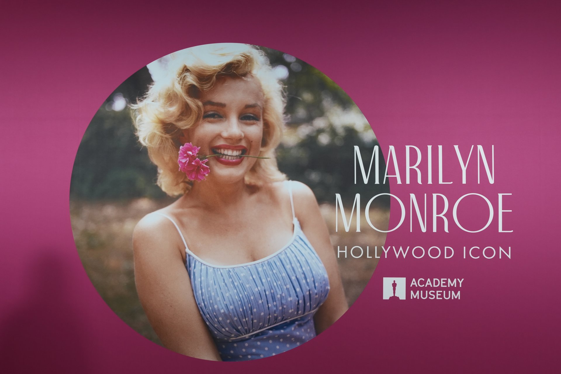 El icónico momento en que Marilyn Monroe cantó para John F. Kennedy y despertó rumores de romance El icónico momento en que Marilyn Monroe cantó para John F. Kennedy y despertó rumores de romance