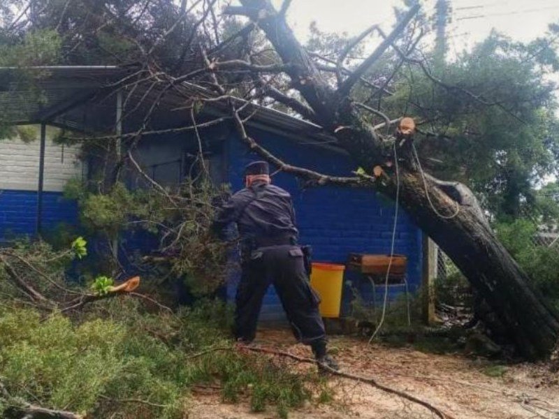 Ministerio de Educación monitorea a niños en albergues y reporta 465 escuelas en riesgo por inundaciones Ministerio de Educación monitorea a niños en albergues y reporta 465 escuelas en riesgo por inundaciones