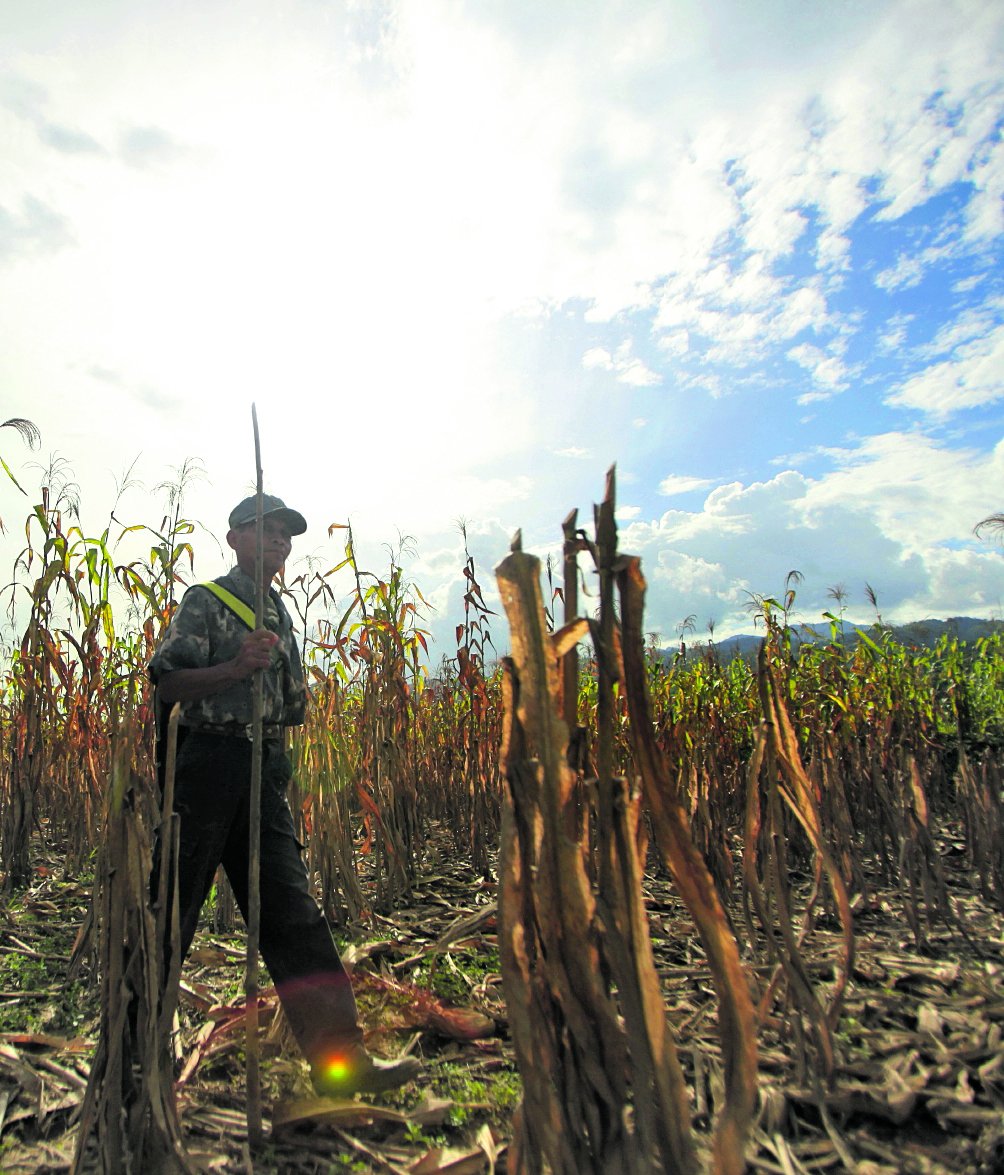 Insivumeh prevé reducción de un tercio en las lluvias 2026 por fenómeno de El Niño Insivumeh prevé reducción de un tercio en las lluvias 2026 por fenómeno de El Niño