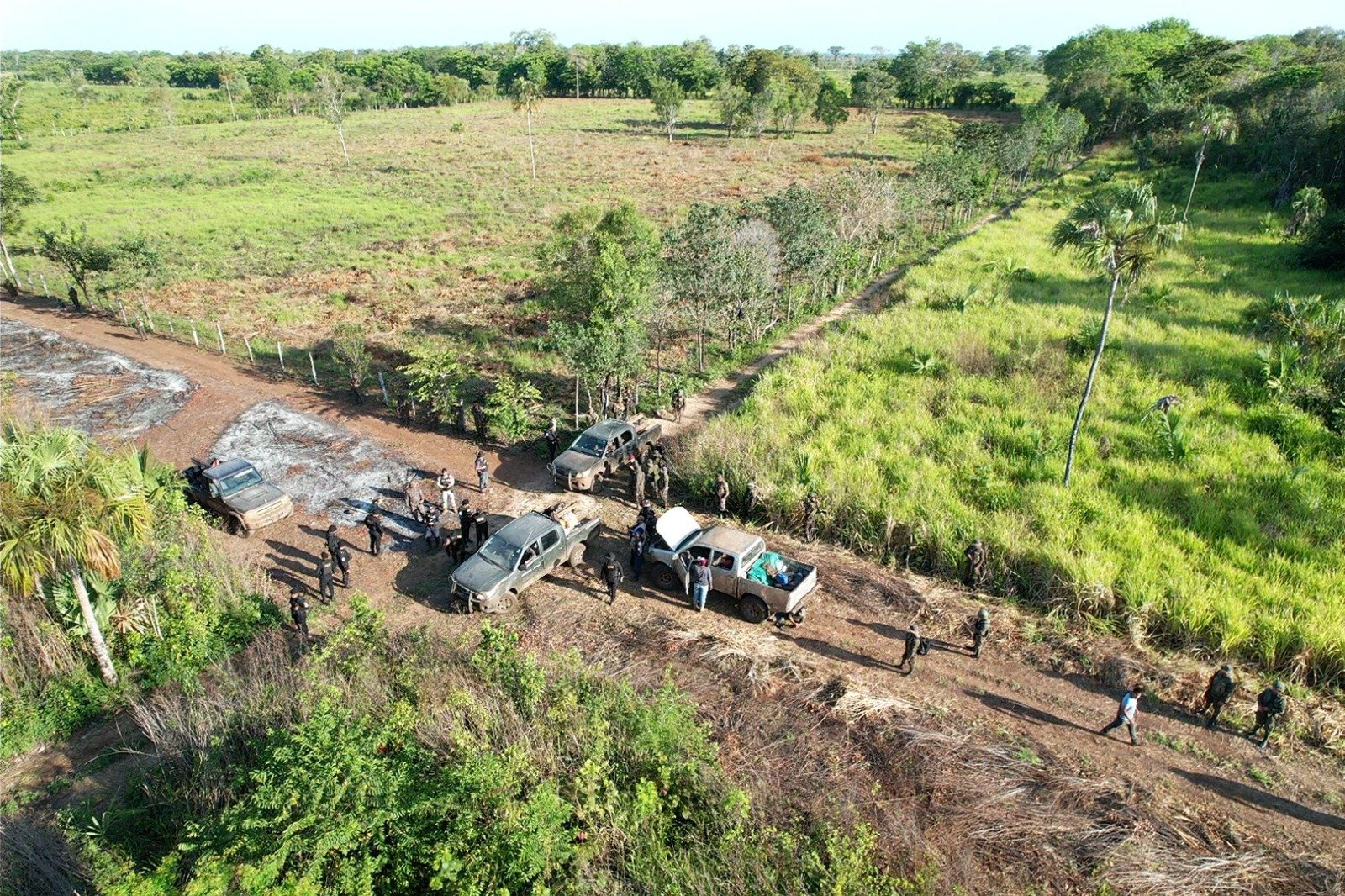 Pistas de aterrizaje, caminos y otras estructuras ilegales son eliminadas en la Reserva de Biosfera Maya Pistas de aterrizaje, caminos y otras estructuras ilegales son eliminadas en la Reserva de Biosfera Maya