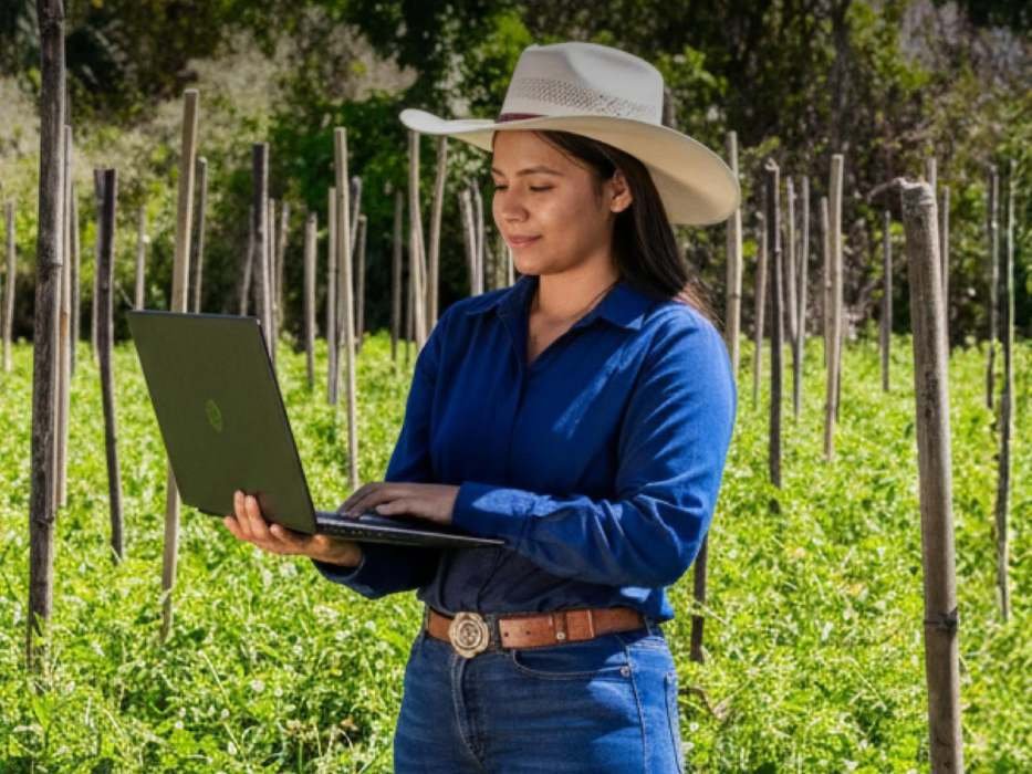 MAG habilita trámites en línea 24/7 y anuncia nuevas herramientas para el sector agropecuario MAG habilita trámites en línea 24/7 y anuncia nuevas herramientas para el sector agropecuario