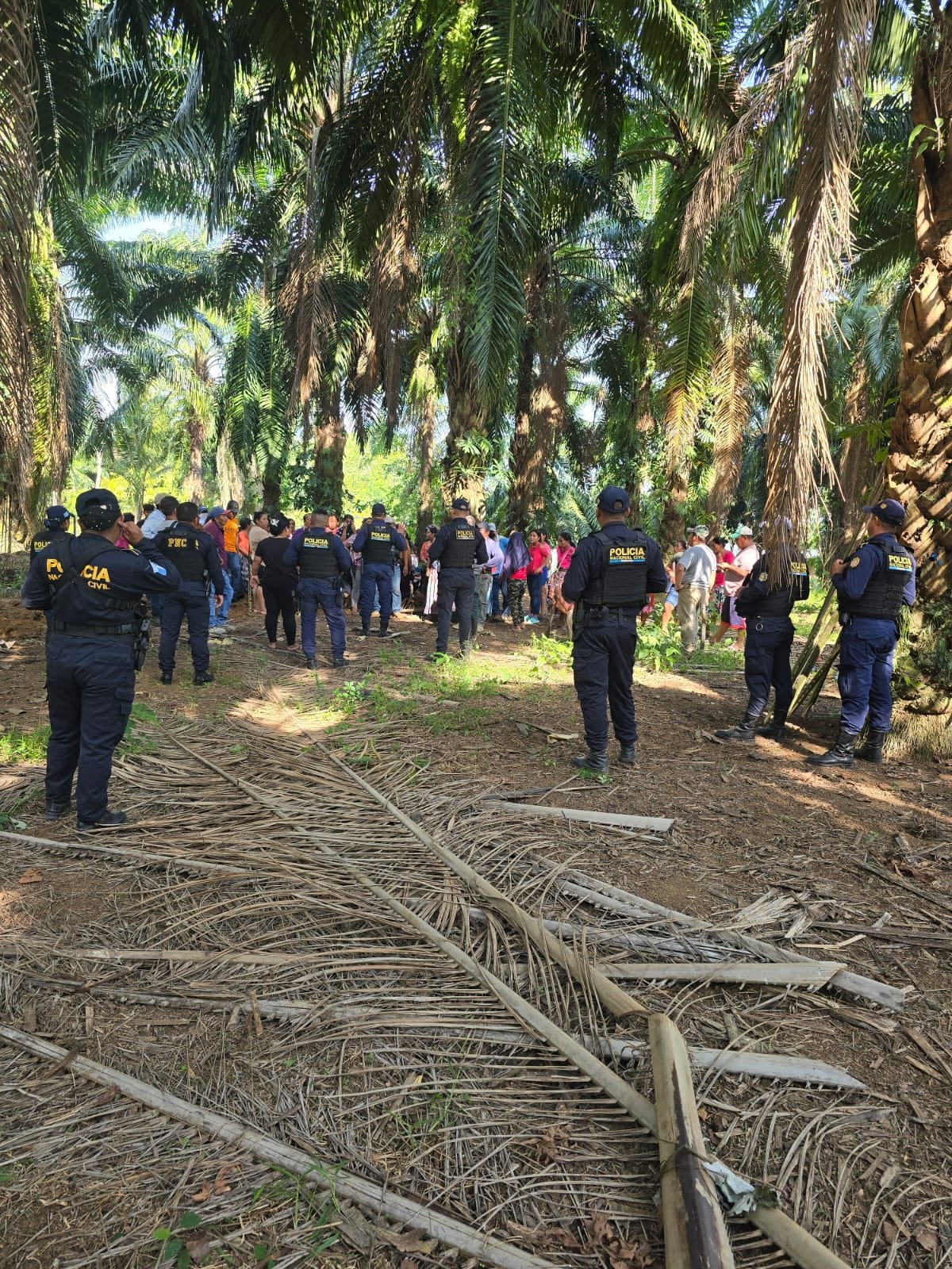 Aumentan denuncias por delitos contra la propiedad y proyecta un crecimiento del 11% en el 2026 Aumentan denuncias por delitos contra la propiedad y proyecta un crecimiento del 11% en el 2026