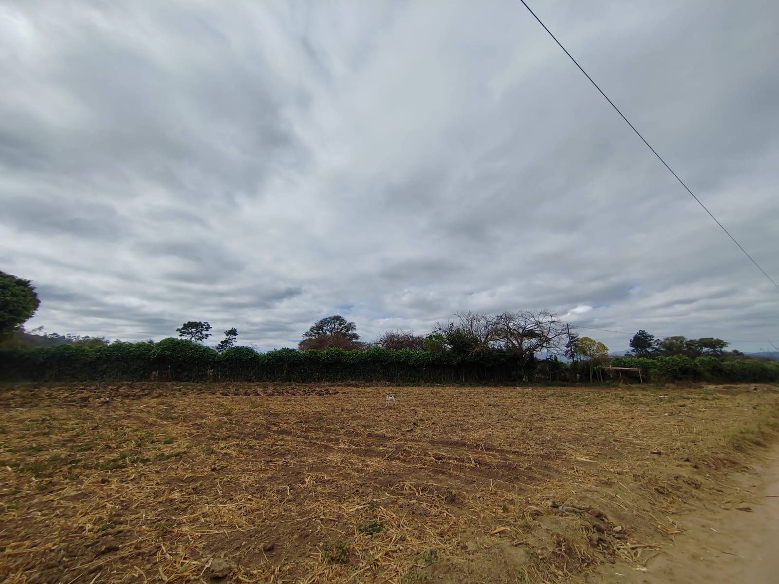 Canícula prolongada y El Niño: Guatemala enfrenta riesgo de crisis alimentaria por sequía extrema y déficit hídrico Canícula prolongada y El Niño: Guatemala enfrenta riesgo de crisis alimentaria por sequía extrema y déficit hídrico