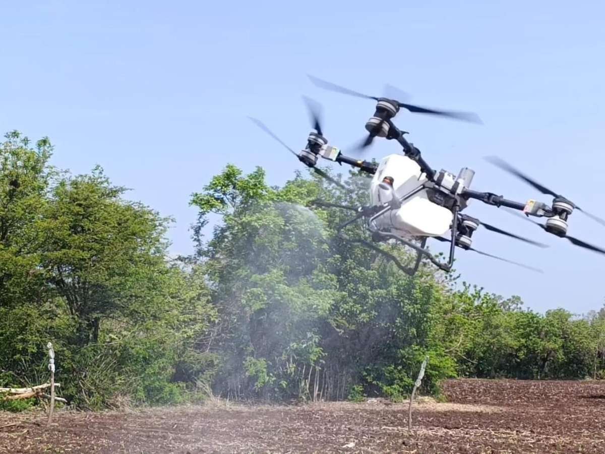 Aprendé a usar drones en tus cultivos con este taller: fecha, lugar y cómo inscribirte Aprendé a usar drones en tus cultivos con este taller: fecha, lugar y cómo inscribirte