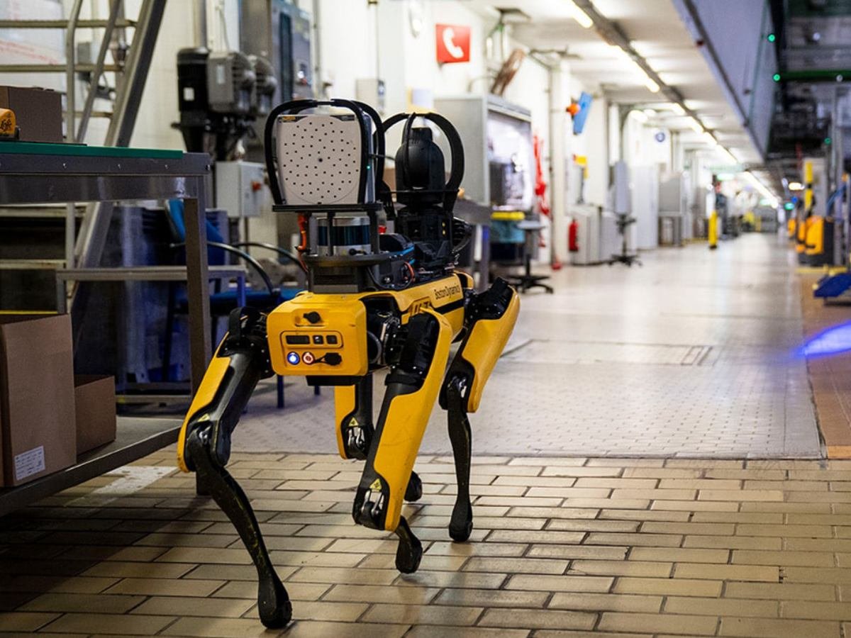 Estados Unidos planea comprar perros robots para operativos de ICE, ¿qué harán?
