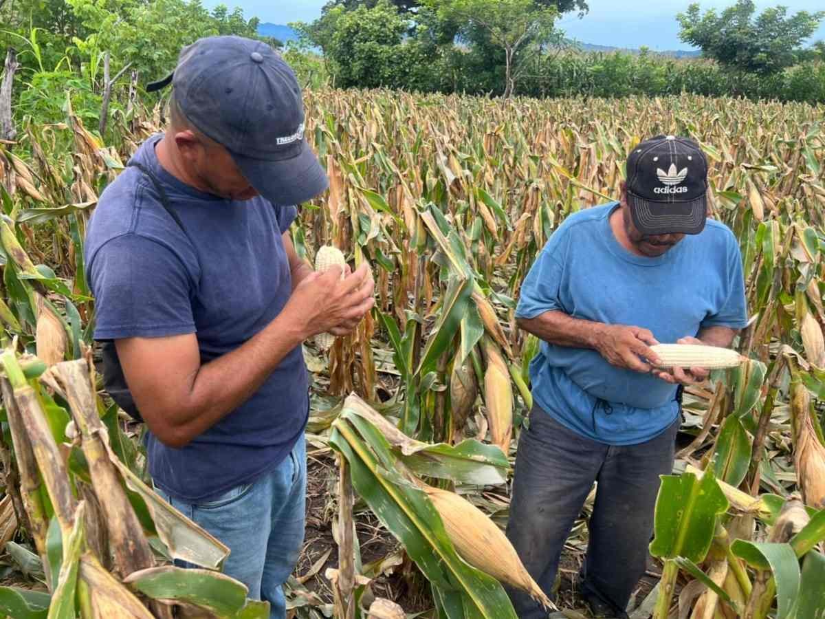 El Salvador asegura abastecimiento de alimentos pese a daños en oriente