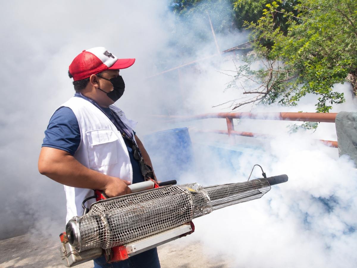 Alcaldía ofrece fumigación gratuita para comunidades, así puedes solicitarla